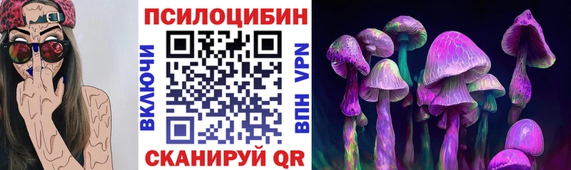 Псилоцибиновые грибы MAGIC MUSHROOMS  как найти закладки  Волгореченск 